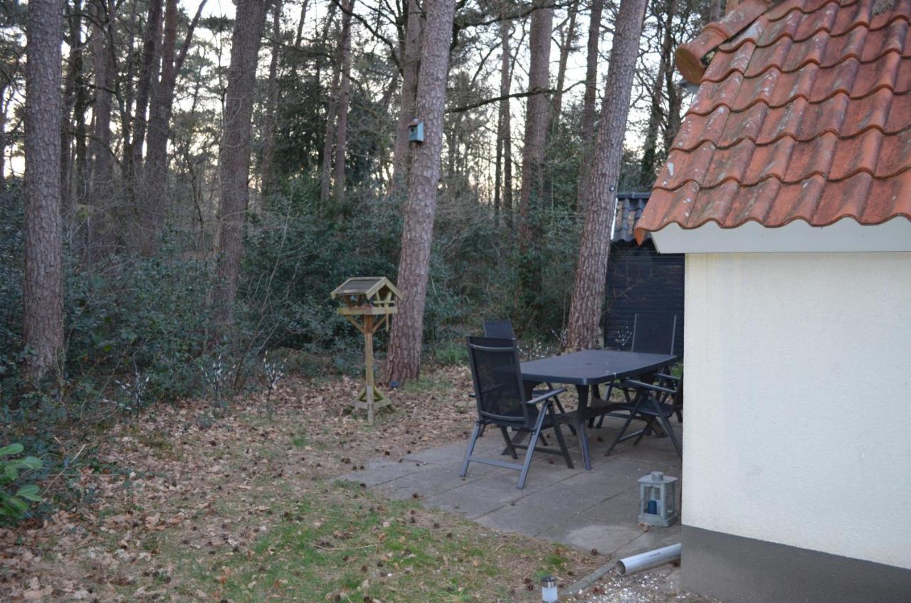 Wittebergen25 Villa IJhorst Eksteriør billede